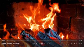 1 hour fireplace live ambient video NETGEO LIVE