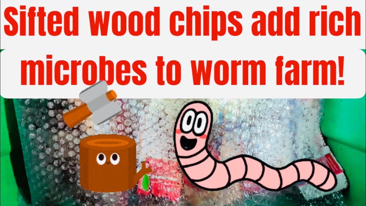 Sifted wood chips add rich microbes to worm farm! YouTube