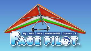 Face Pilot (DSi) - Target