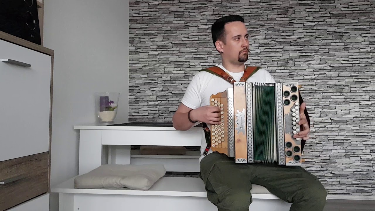 ▶️⚡Fürstenfeld (GCFB) Steirische Harmonika Dominik Metzner