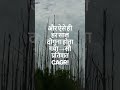 एक पेड़ → ५ साल में बत्तीस पेड़ 😱 हर साल दोगुना = १००% CAGR!