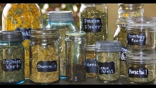 Dried Herbs and Spices - Storage Tips