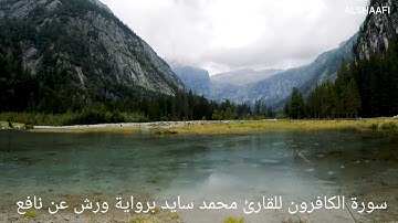 محمد سايد - سورة الكافرون |109|MOHAMED SAYED - SURAT AL KAFIRUN