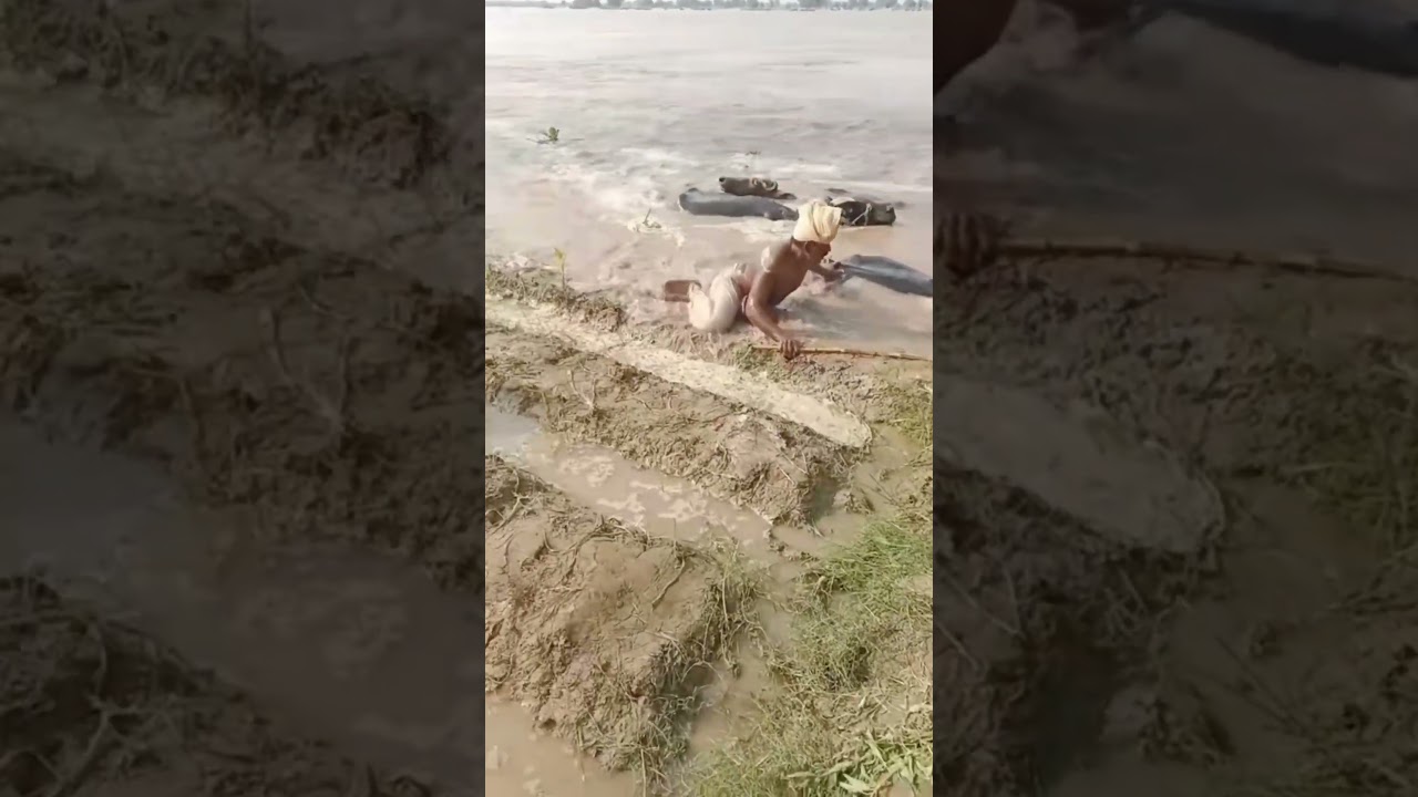 historical Flood 2025 in Pakistan 