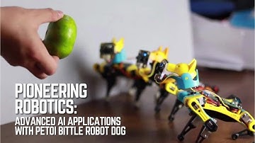 Top 5 AI-robothondprojecten: ChatGPT, YOLO en Raspberry Pi (Petoi Bittle)