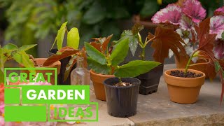 Graham Ross's Tips For Beginner Gardeners | GARDEN | Great Home Ideas