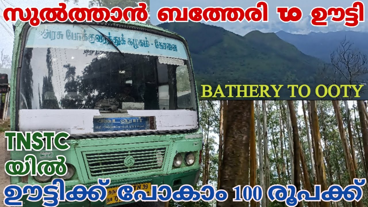 100 രൂപക്ക് മനോഹര കാഴ്ച്ച കണ്ടൊരു ഊട്ടി യാത്ര | sulthan bathery to ooty bus travel