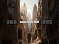 The Silent Cartographer of the White Desert