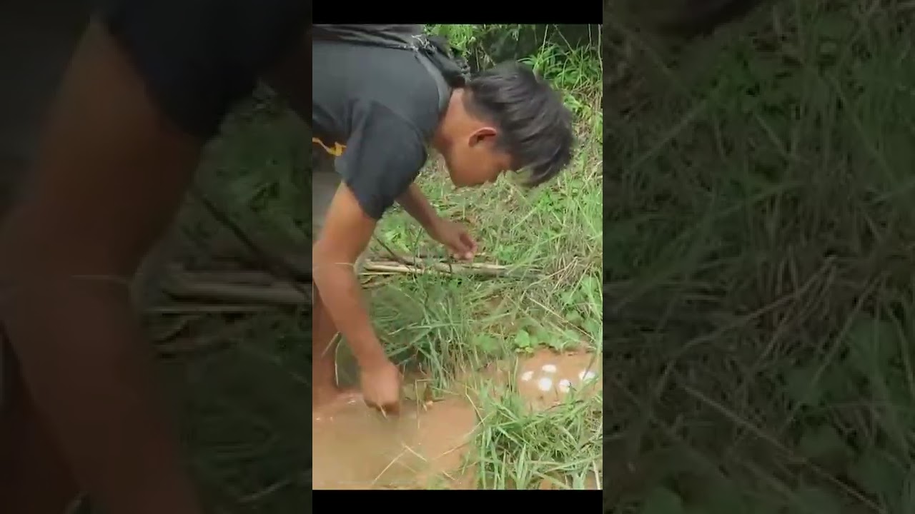 Primitive Technology: Man Make Crocodile Trap - How To Make Big Crocodile Trap Work 