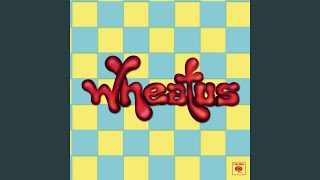 Video thumbnail of "Wheatus - Wannabe Gangstar"