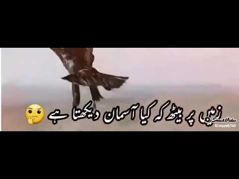 Shaheen Teri parwaz se jalta h zamana - YouTube