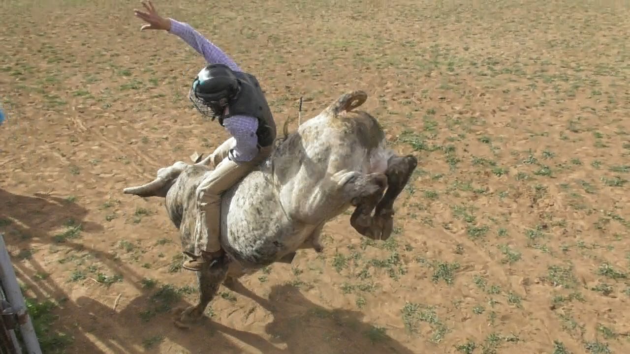 Bull Riding Teen Cowboys Compete For A Belt Buckle