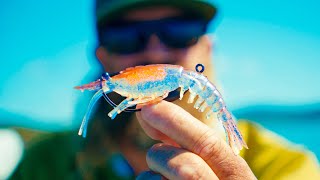 *NEW* Nomad Live Ops Soft Plastics screenshot 1