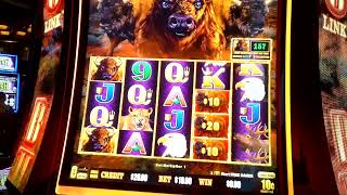 Lucky Chance Spin Winner on Buffalo Link slot machine screenshot 3