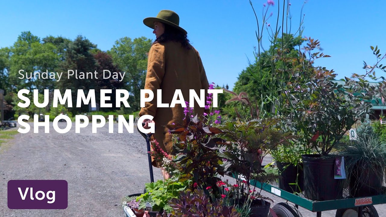 SUMMER PLANT SHOPPING for FLOCK Finger Lakes — Vlog 044