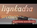 Esperanto Sesli Öykü “Lignkadra Spegulo” (Tahta Çerçeveli Ayna) - Yazan & Seslendiren: Gizem Çetin