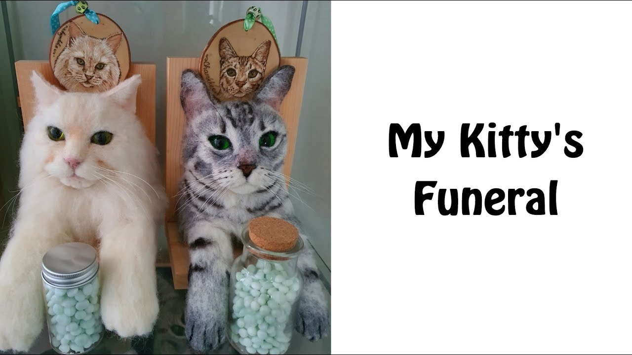 My cat's funeral YouTube