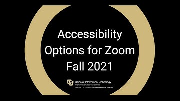 Accessibility Options in Zoom