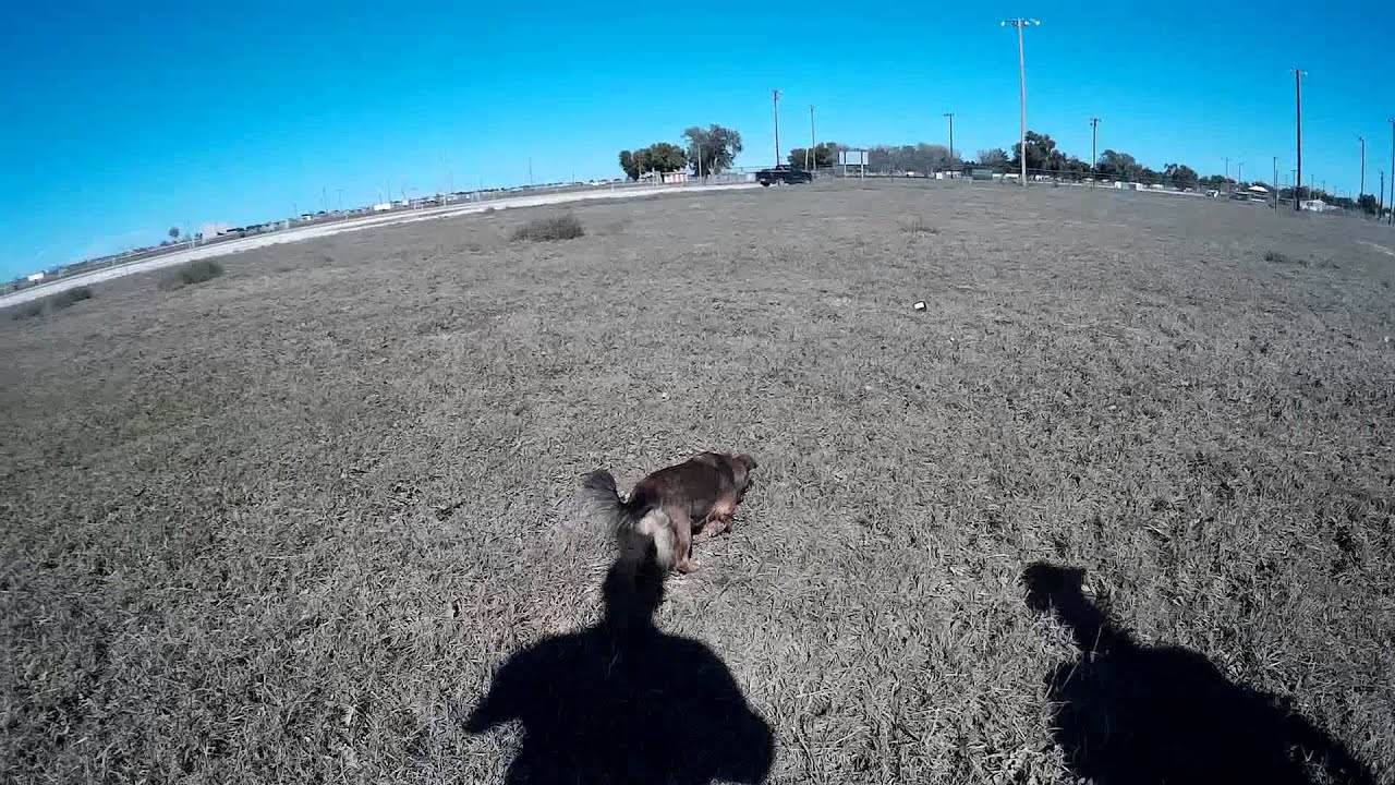 Jaycee Park Artesia NM (walk the dog) YouTube