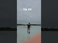 제주 4일차 돌 문화공원 하늘 연못 김민재 영화배우 카페 제주 4일차 돌 문화공원 하늘 연못 김민재 영화배우 카페