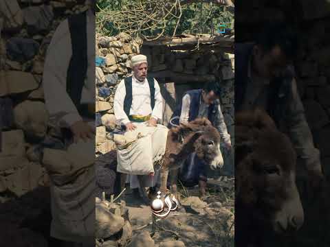 علف من الوادي قال أهم شي مش أدوية مهربة