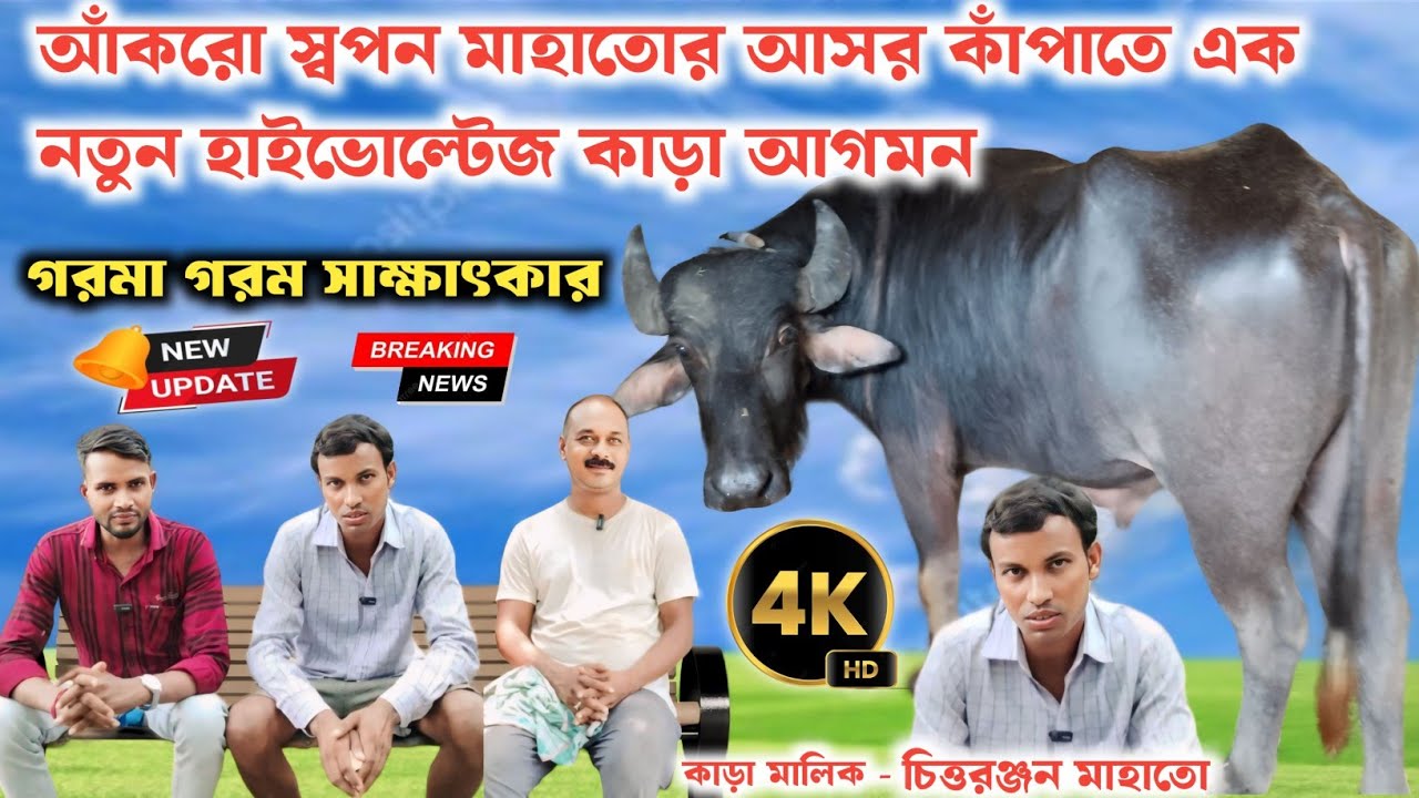 আঁকরো স্বপন মাহাতোর পাশের গ্রামে এক নতুন হাইভোল্টেজ কাড়া আগমন🦬প্রথমেই বাইরের আসরে লড়াইয়ের ডাক দিল