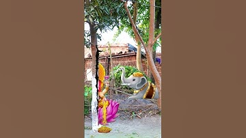 tree invisible viral laxmi 🙏 #vfxnishadji