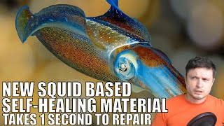 Squid Based Material Takes 1 Second To Repair Completely