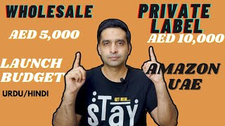 Amazon Uae Fba Wholesale Vs Private Label 2021 Launch Budget