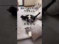 問題です!正解できるかな?