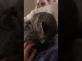 Bathing time