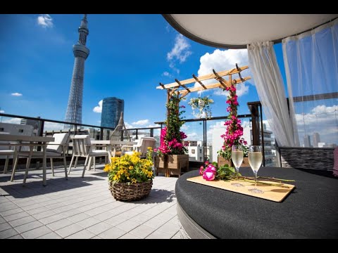 日本東京人氣旅館「 SOLA HOTEL」