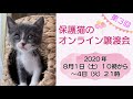 第3回【保護猫のオンライン譲渡会】開催中！！