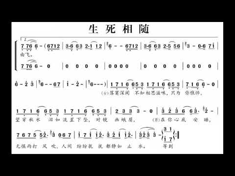 生死相随 D调伴奏 - instrumental in D
