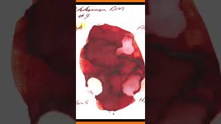 Akkerman Dutch Masters Steenrood Van Vermeer Fountain Pen Ink