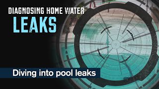 Famous Diagnosing Home Water Leaks: Pool Leaks Net Worth