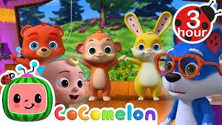 Hey Diddle Diddle +More | Cocomelon - Nursery Rhymes | Fun Cartoons For Kids | Moonbug Kids