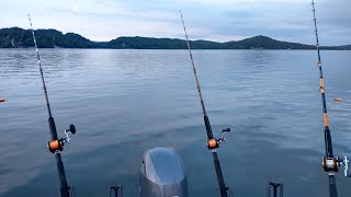 Ugly Stik Rods For Big Catfish