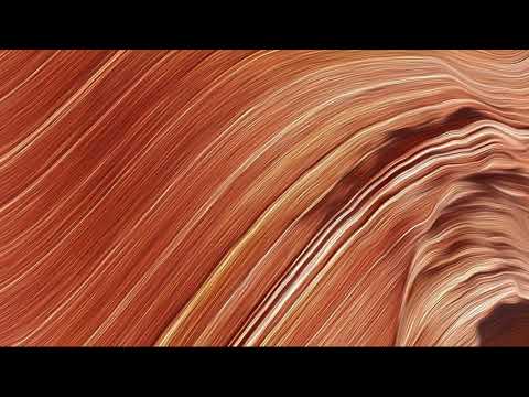 Faul Spaeth Treibholz