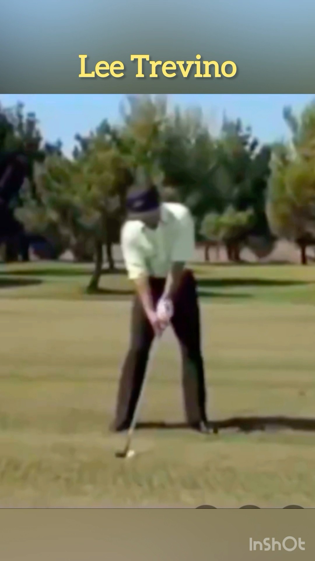 Perhaps no fine player played the ball further back in his stance than Trevino. #golf #golftips
