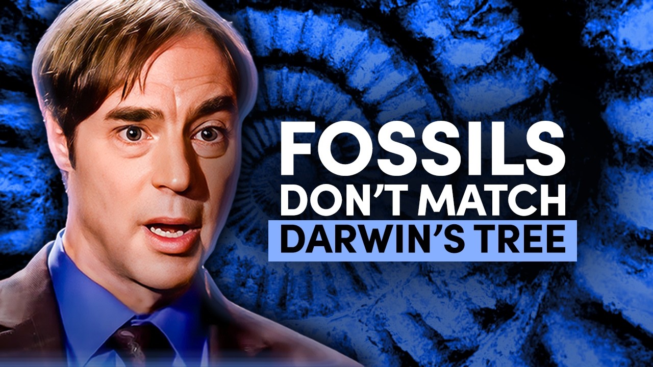 The Mystery of the Missing Fossils - YouTube