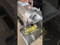 Commercial Potato French Fries Cutter Machine Frenchfriescuttermachine Potatocuttermachine