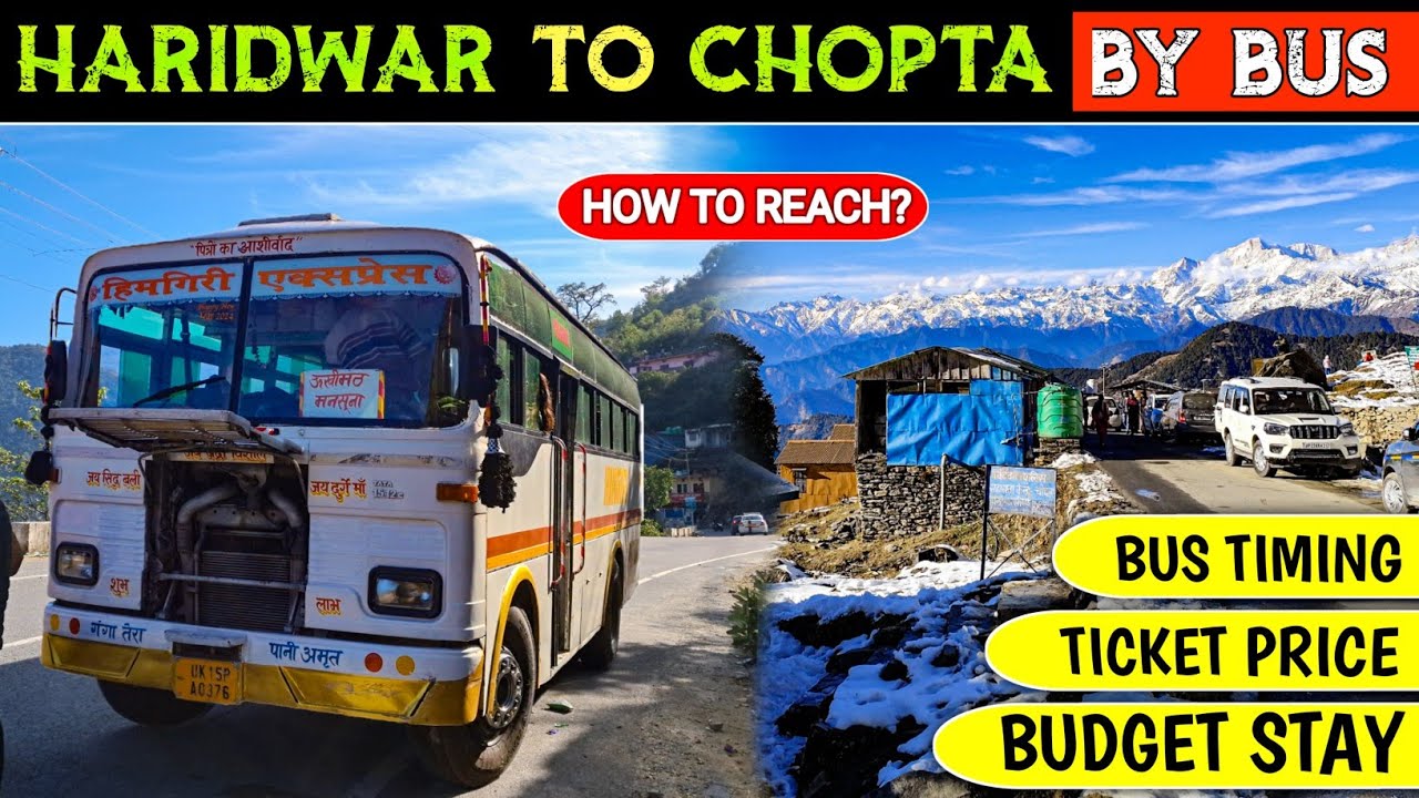 Haridwar To Chopta By Bus | How to Reach Chopta by Bus | Best route to reach Tungnath .