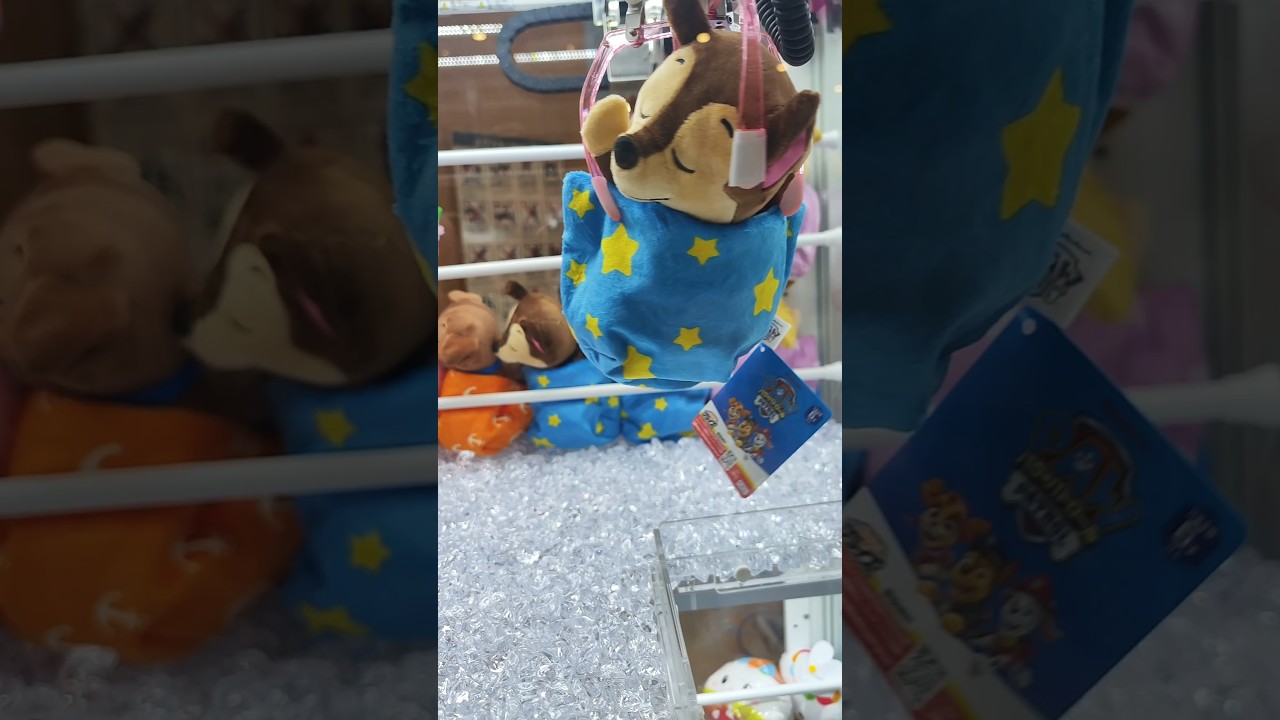 PAW Patrol toy collection 