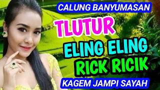 TLUTUR RICIK RICIK DAN ELING ELING CALUNG BANYUMASAN KAGEM JAMPI SAYAH.