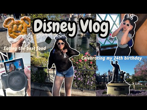 DISNEY VLOG | Spend the day with us & Celebrating my 24th Birthday 🏰✨