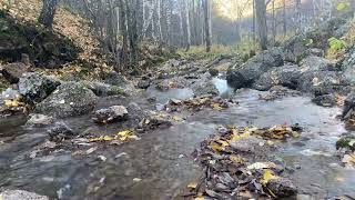 : 40min HD Relaxing - Forest River - mindfulness, ambience, meditation, nature/, , , 