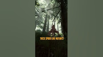 The Virginia #shorts