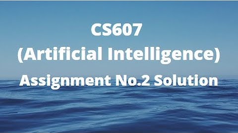 CS607 (Artificial Intelligence) Assignment No.2 Solution Spring 2022
