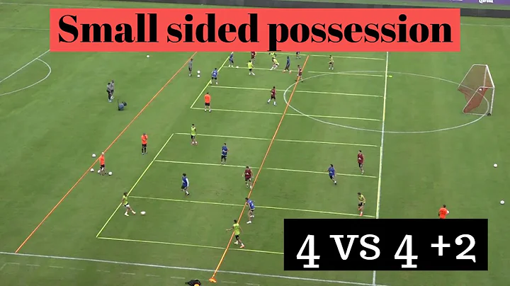 Small sided possession: 4v4+2